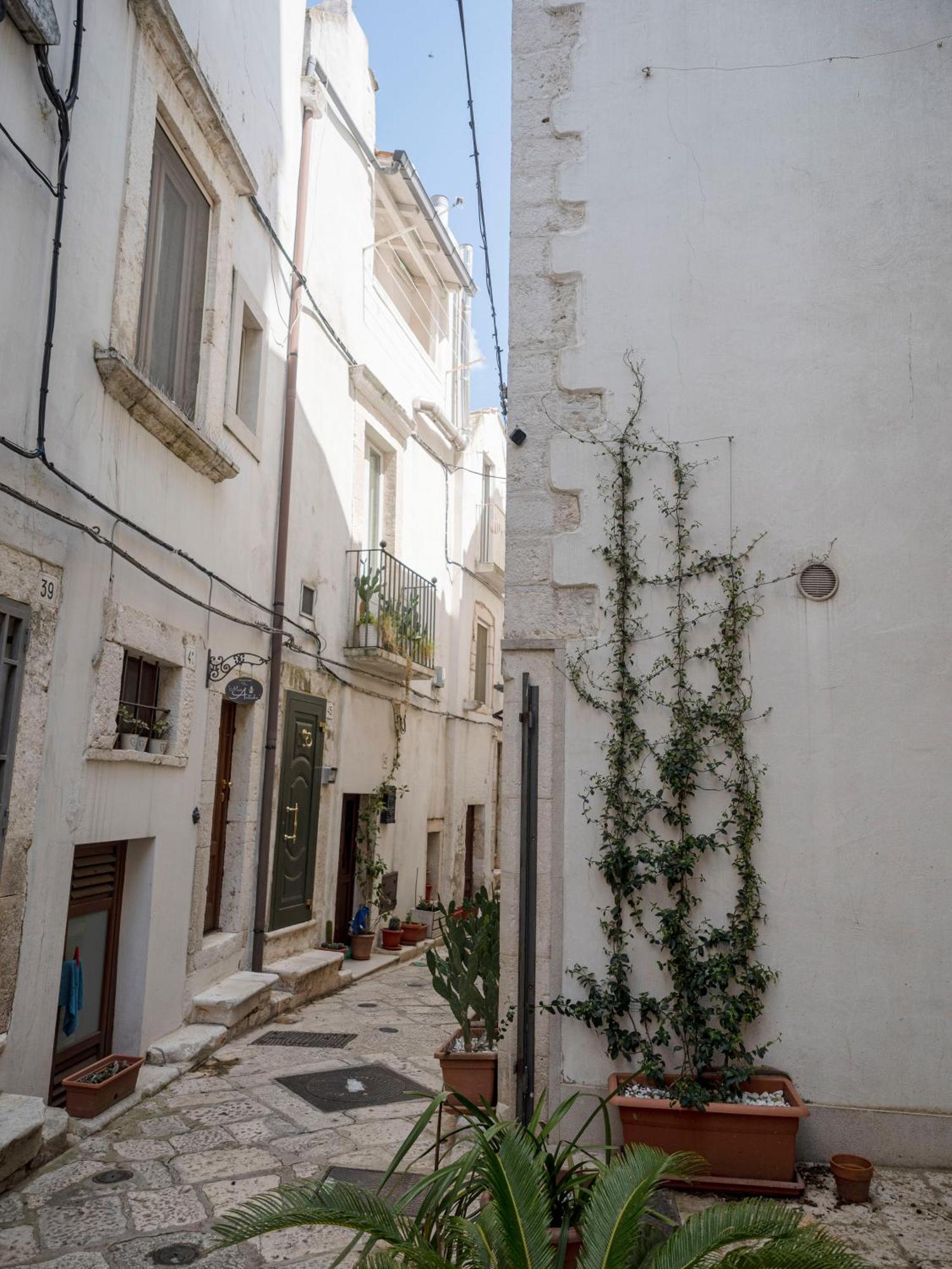 Tra MurAntiche Putignano Luaran gambar